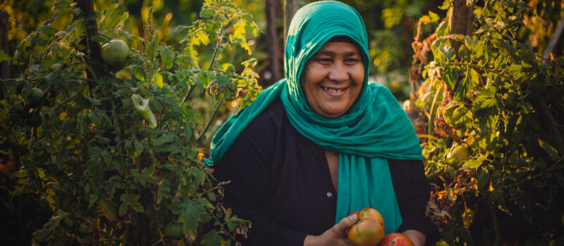 Photo en plan poitrine d’une femme souriante au milieu de plants de tomates. Elle tient 3 grosses tomates fraîchement cueillies dans ses mains.