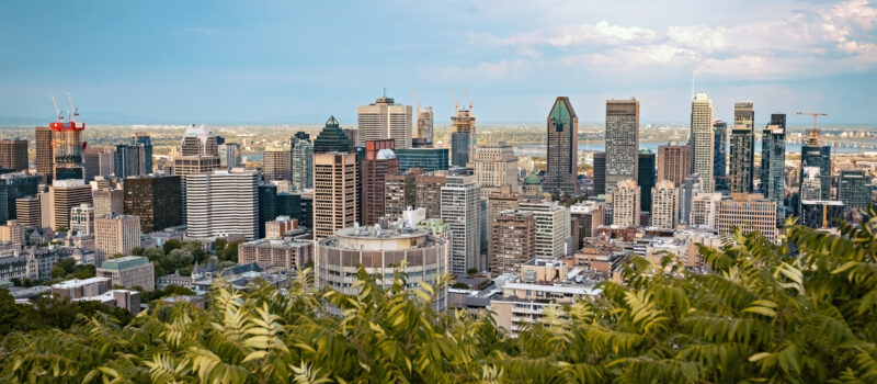 Photographie du centre-ville de Montréal vue depuis un point élevé, probablement sur le mont Royal. Une abondante végétation verte occupe toute la partie inférieure de l’image, créant un contraste avec le paysage urbain. Derrière ce couvert végétal se déploie une forte concentration d’immeubles de différentes hauteurs. Le ciel est composé de nuages et d’éclaircies, laissant passer une lumière douce qui éclaire les bâtiments.